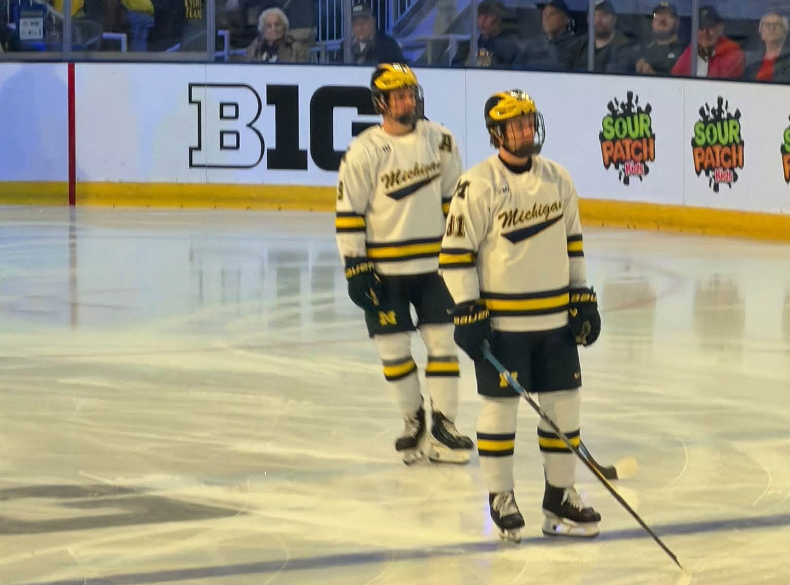 Michigan Wolverines 1