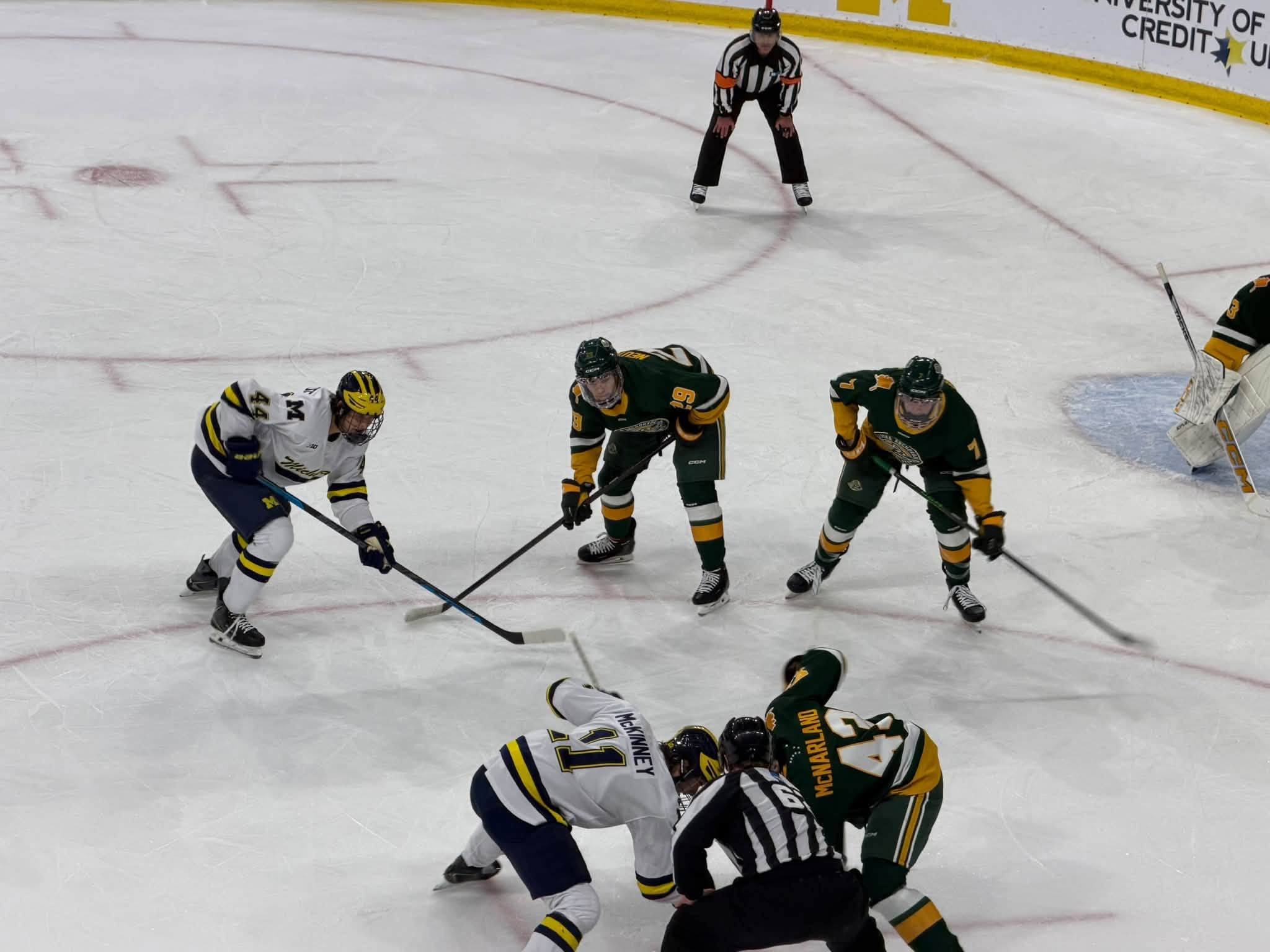 Michigan Wolverines 4