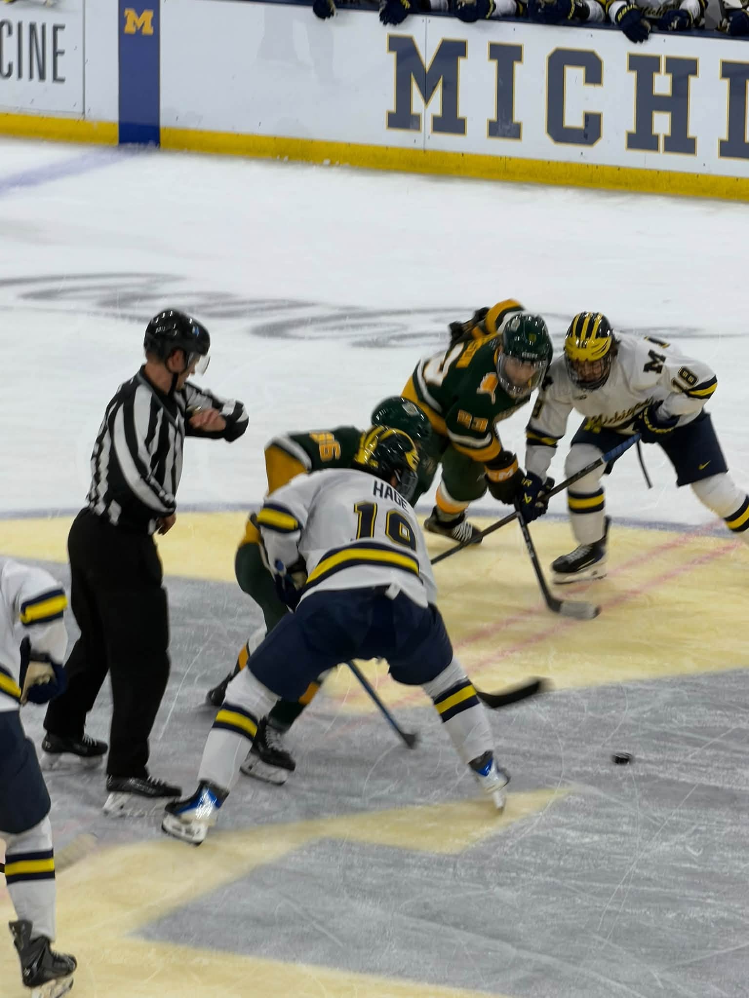 Michigan Wolverines 3